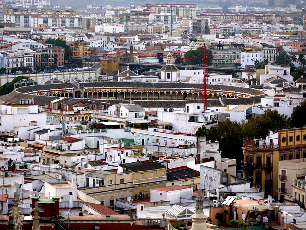 bird-eye  view from Giralda